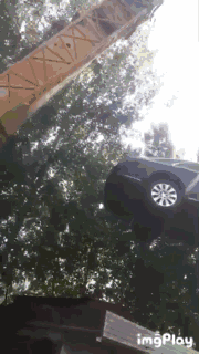 张勇最新动态曝光:联手“并购女王”